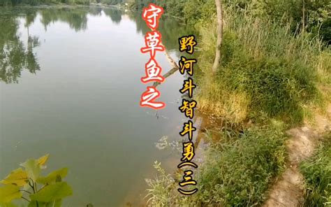 什麼河不流水